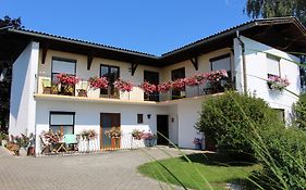 Haus Falle